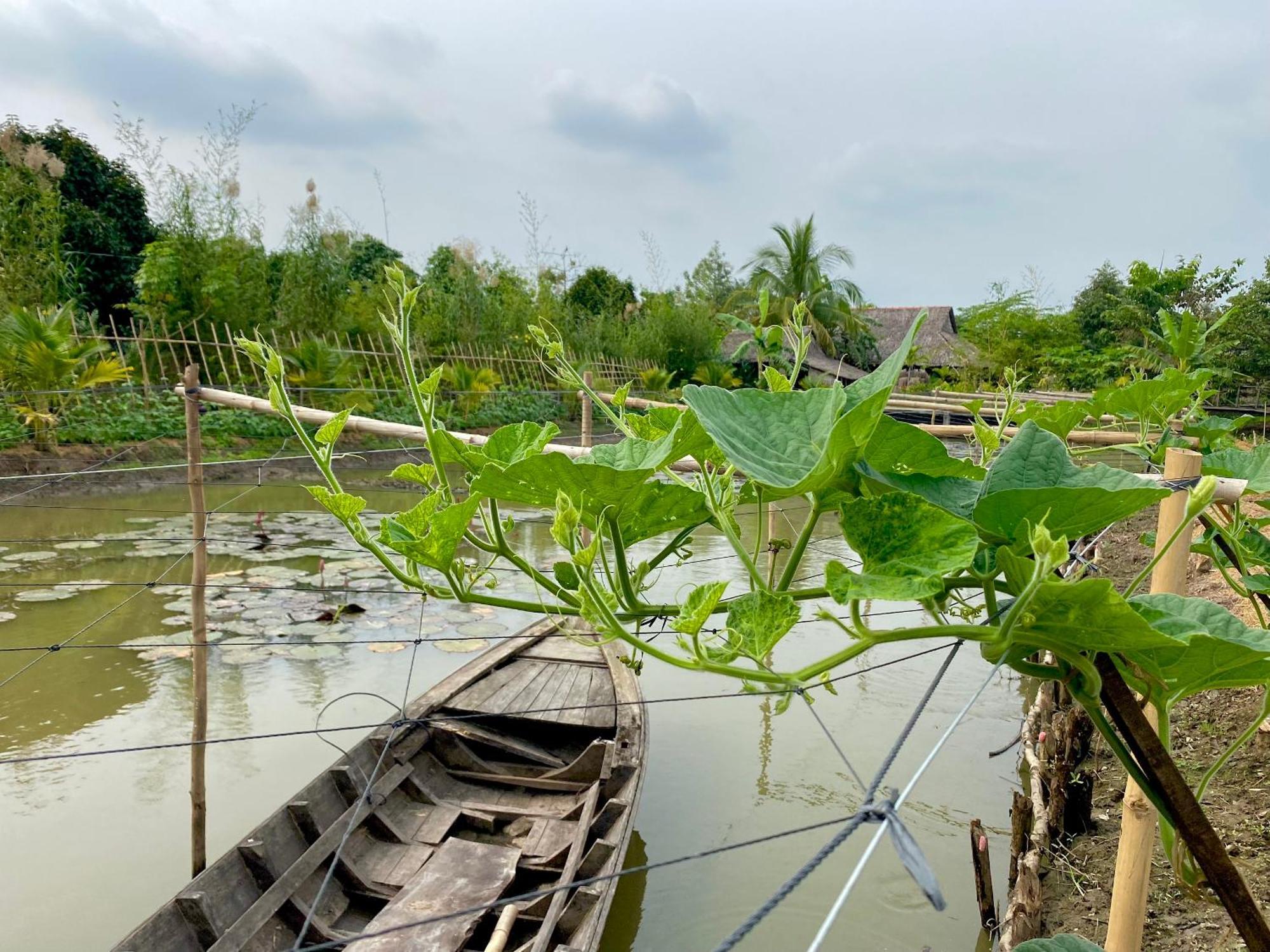 Mekong Silt Ecolodge Can Tho Buitenkant foto